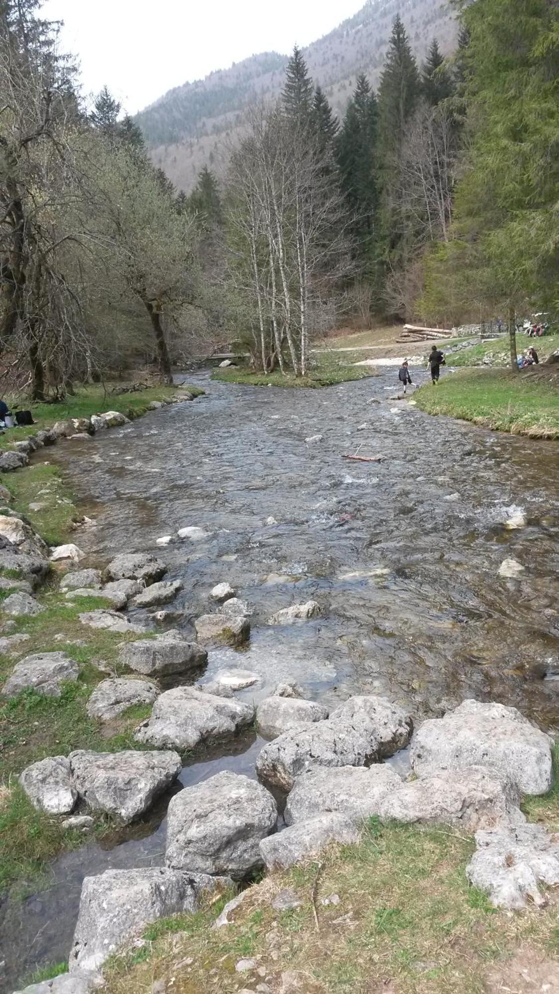 Les Tilleuls Saint-Jean-d'Avelanne Esterno foto