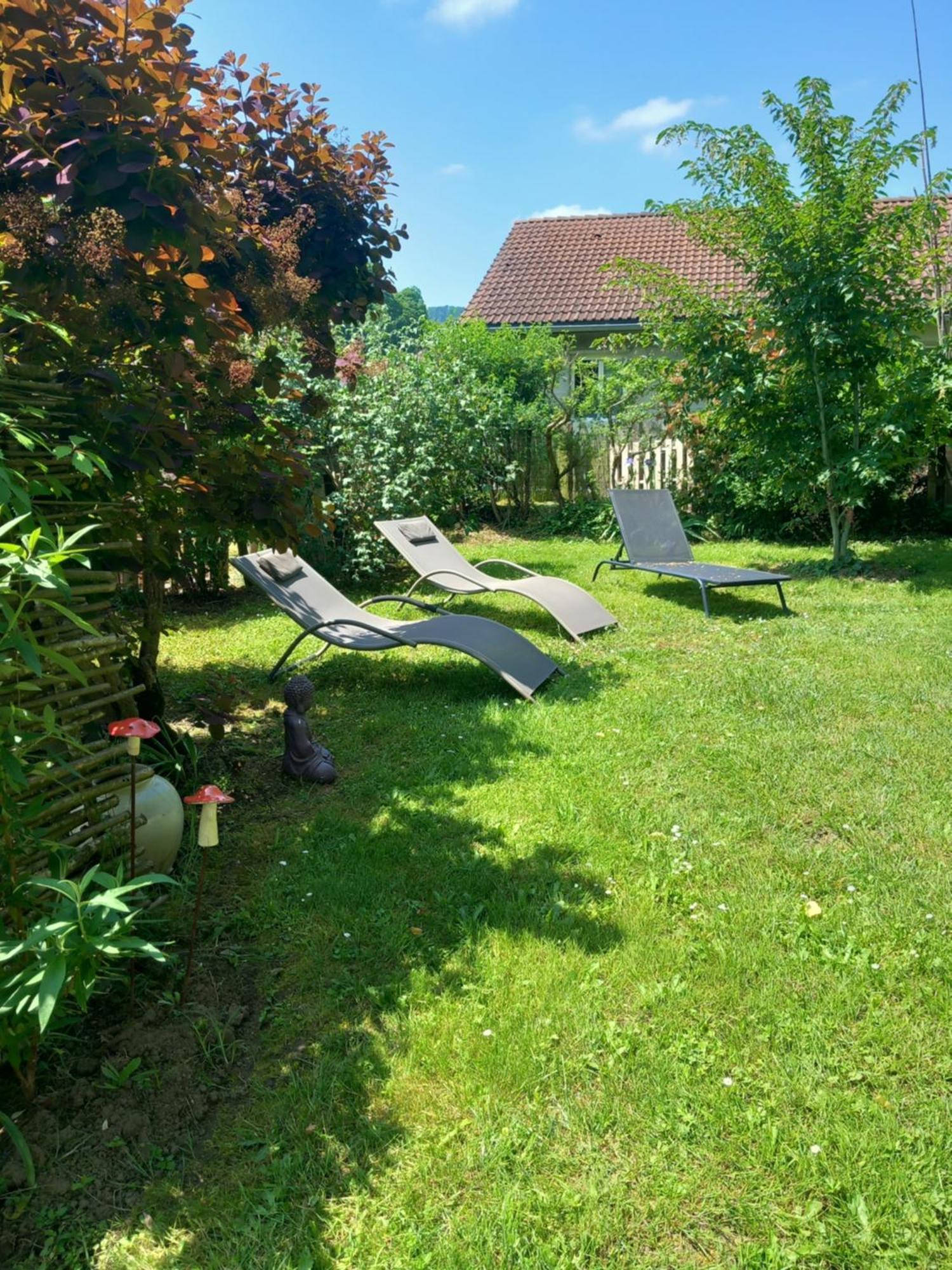 Les Tilleuls Saint-Jean-d'Avelanne Esterno foto