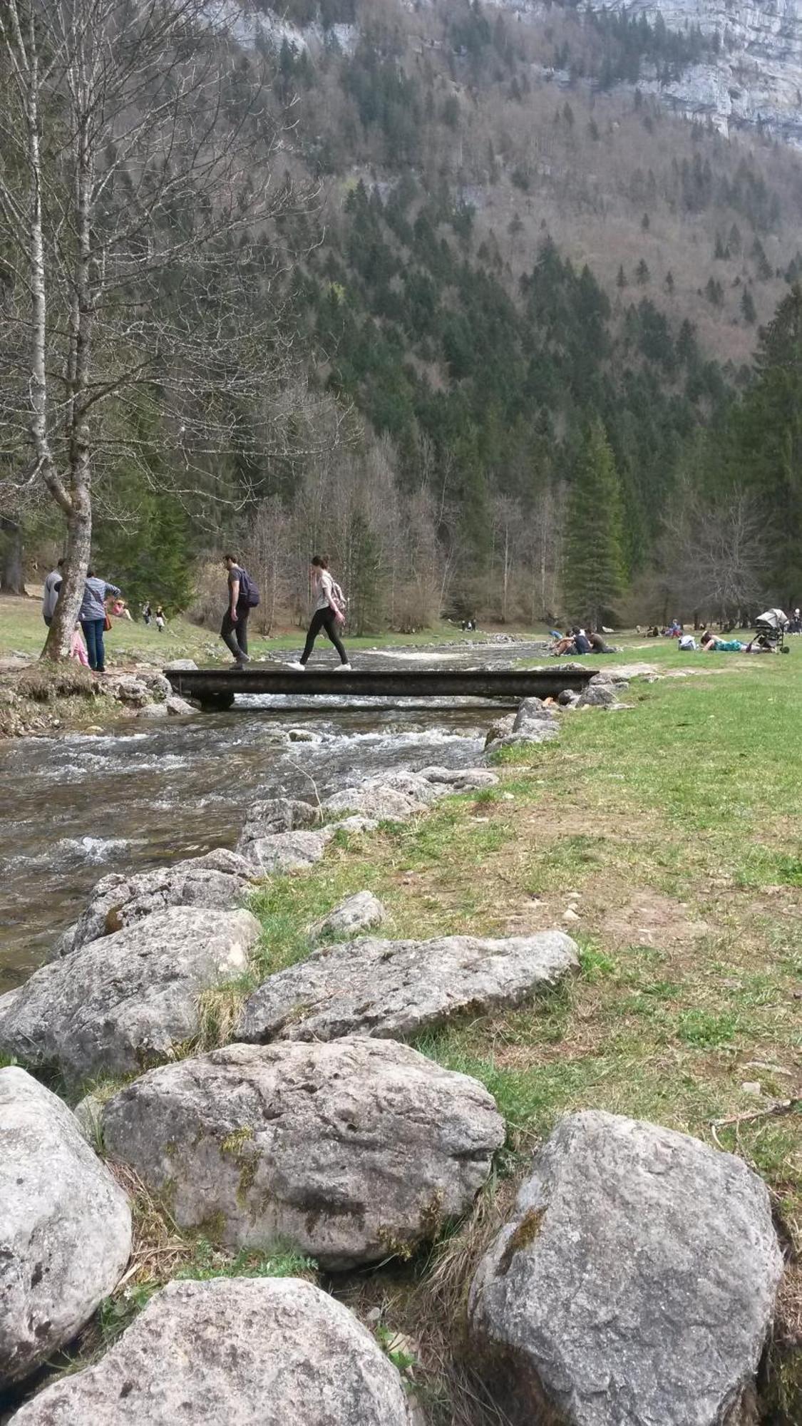 Les Tilleuls Saint-Jean-d'Avelanne Esterno foto